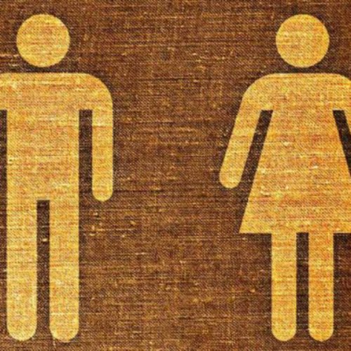 Ideologia de Gênero e “homofobia”
