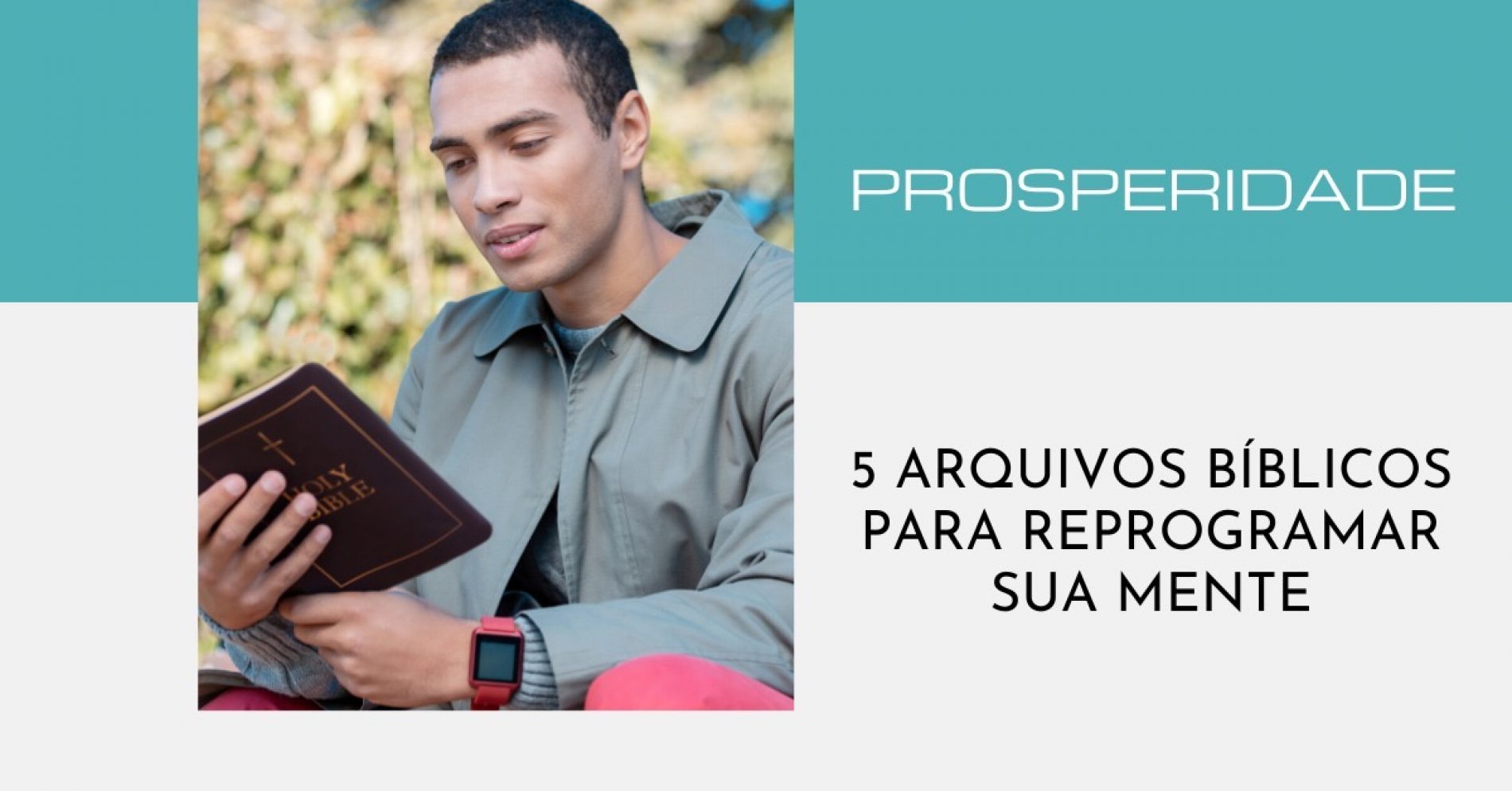 Prosperidade: 5 Arquivos Bíblicos Para Sua Mente